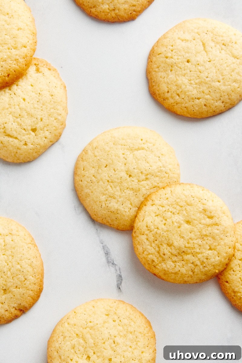 Overhead view of vanilla wafers on a marble counter.