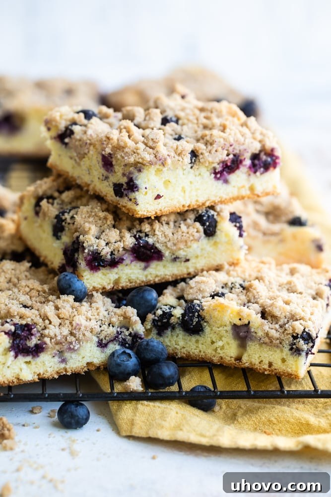 A delicious slice of Blueberry Crumb Cake stacked on a wire rack, showcasing its golden crumb topping and juicy blueberry-filled interior.