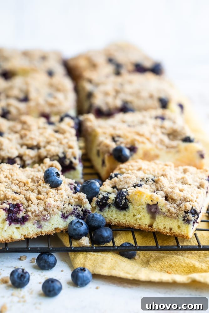 Several pieces of delicious blueberry crumb cake resting on a wire rack, ready for serving.