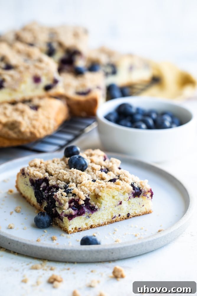 A perfectly portioned slice of Blueberry Crumb Cake presented on a clean white plate, ready to be eaten.