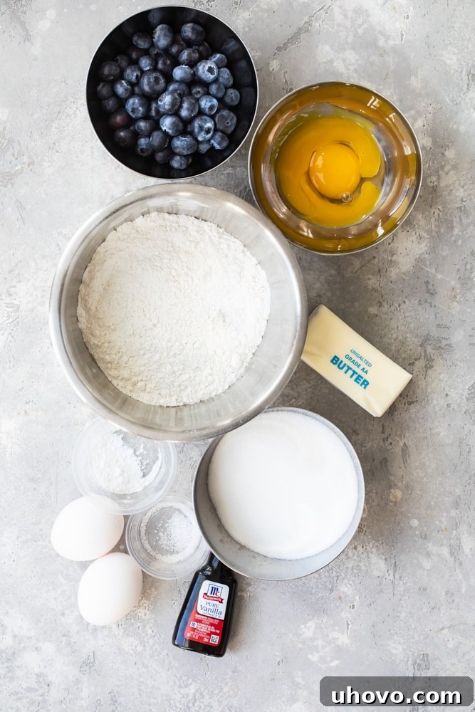 Overhead view of all the blueberry crumb cake ingredients laid out on a kitchen counter, ready for baking.