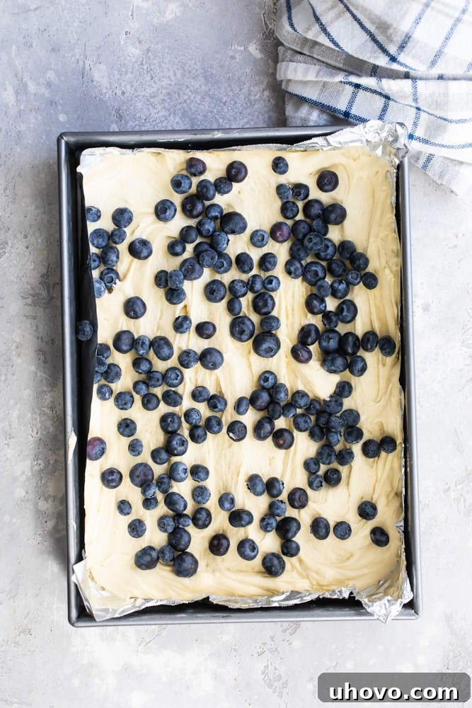 Overhead view of Blueberry Crumb Cake batter spread evenly in a pan, topped with a generous layer of fresh blueberries.