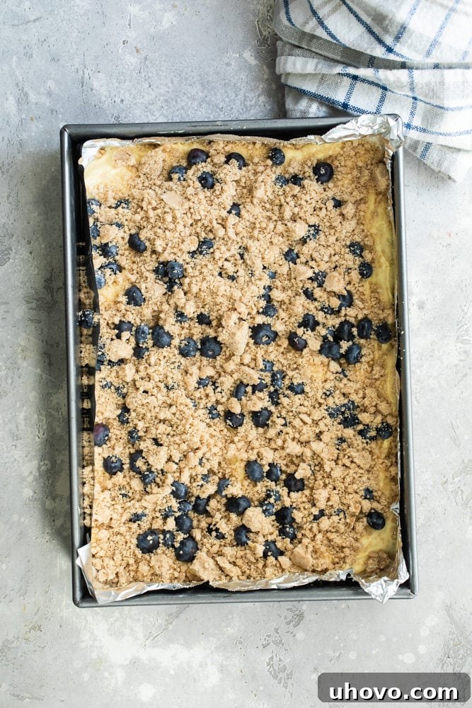 Overhead view of Blueberry Crumb Cake batter topped with blueberries and generously sprinkled with the buttery crumb topping.