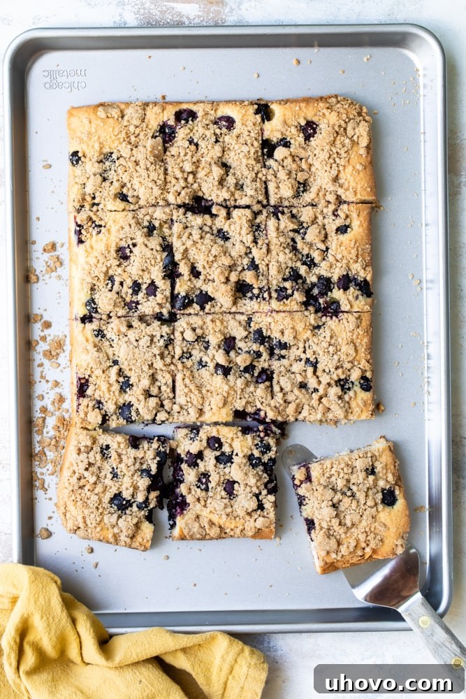 Overhead view of a freshly baked blueberry crumb cake on a baking sheet, golden and inviting.