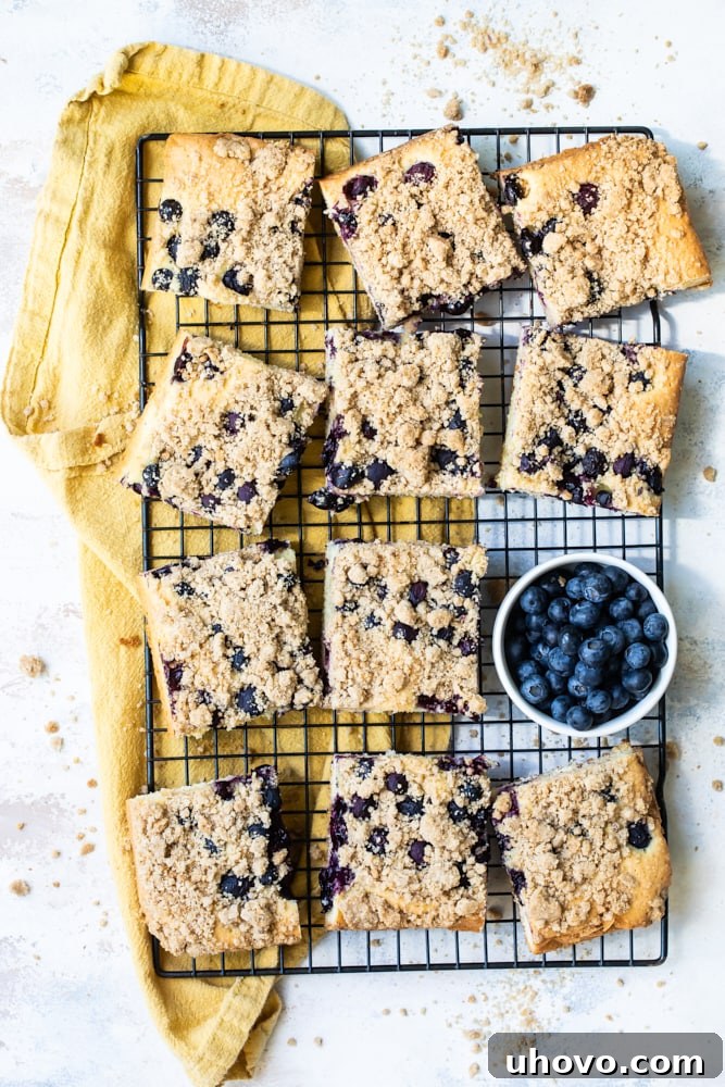 Overhead view of sliced Blueberry Crumb Cake cooling on a wire rack, ready to be enjoyed.