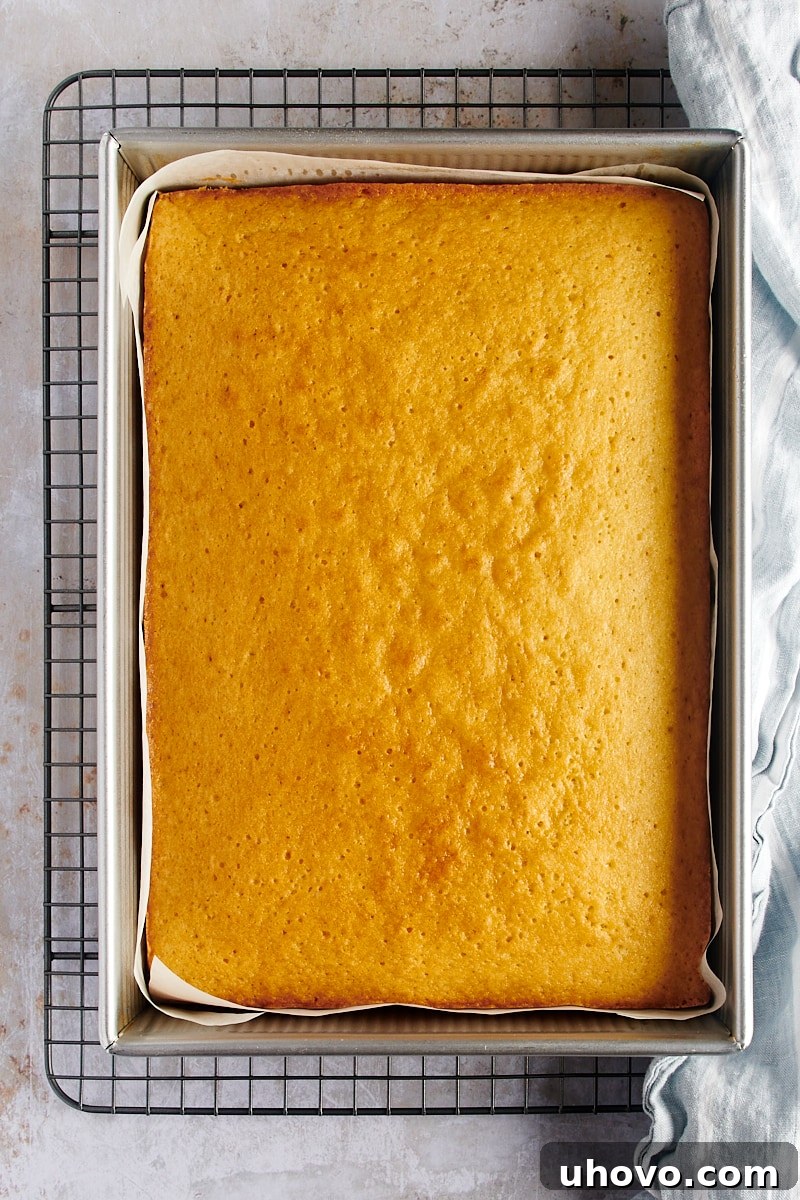 overhead view of a freshly baked coconut cake cooling in its 9x13 pan on a wire rack