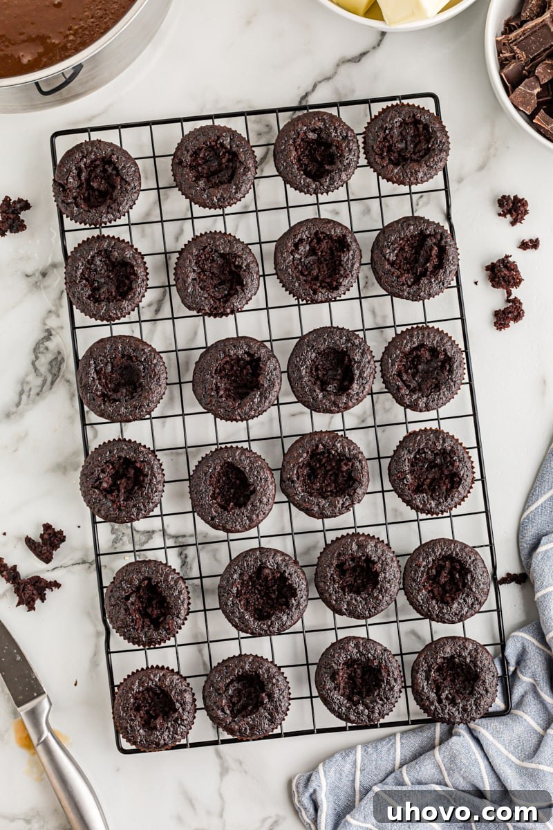 Overhead view of chocolate cupcakes with small cone-shaped centers meticulously removed, ready for filling