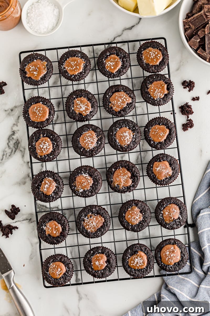 Overhead view of chocolate cupcakes arranged on a wire rack, freshly filled with luscious caramel