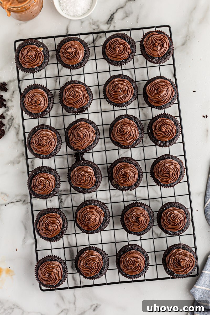 Overhead view of chocolate salted caramel mini cupcakes neatly arranged on a cooling rack before their final sea salt garnish