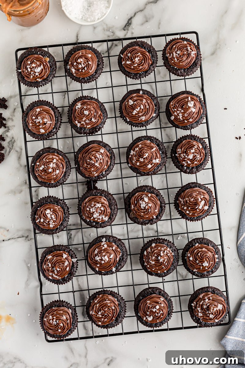 Overhead view of perfectly frosted chocolate salted caramel mini cupcakes on a cooling rack, adorned with sea salt