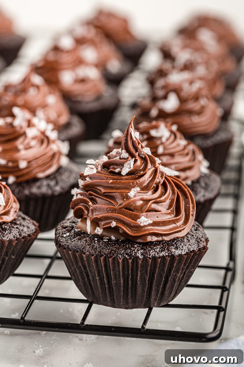 Chocolate salted caramel mini cupcakes arranged on a cooling rack, showcasing their perfect frosting swirls