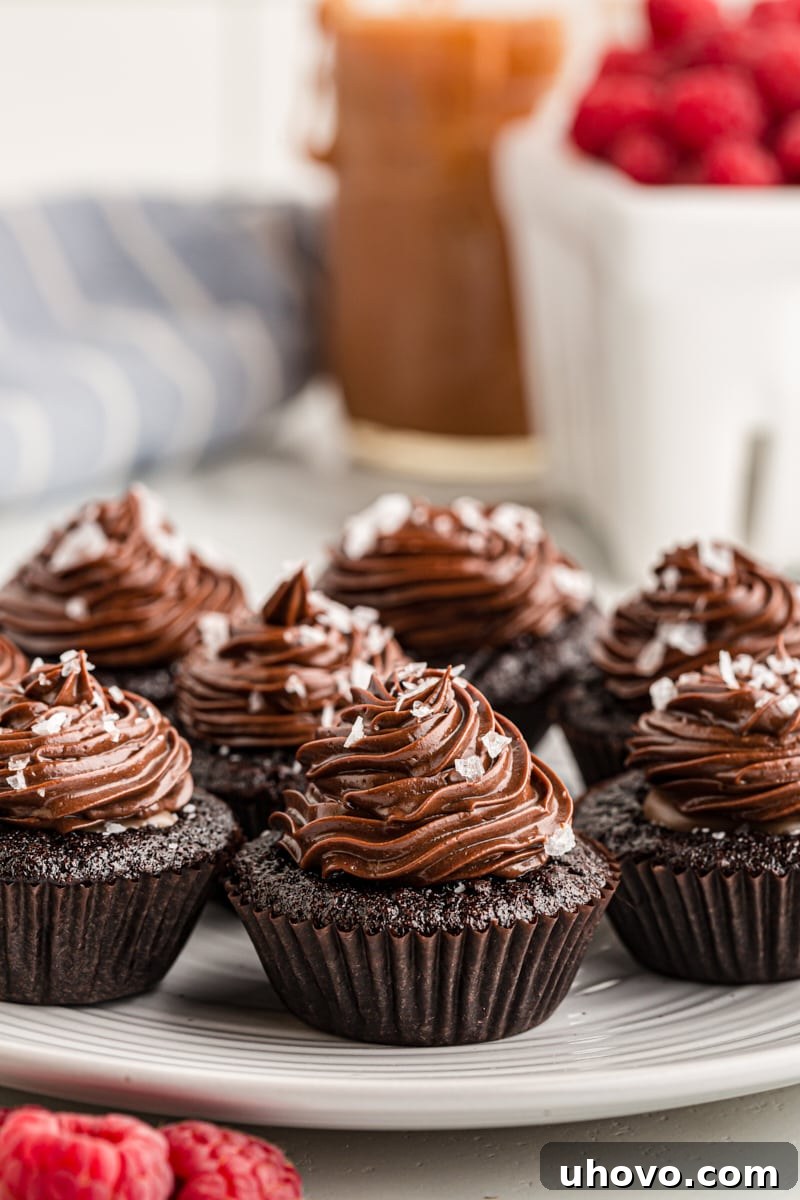 An inviting platter filled with an array of chocolate salted caramel mini cupcakes, perfectly frosted and ready to delight