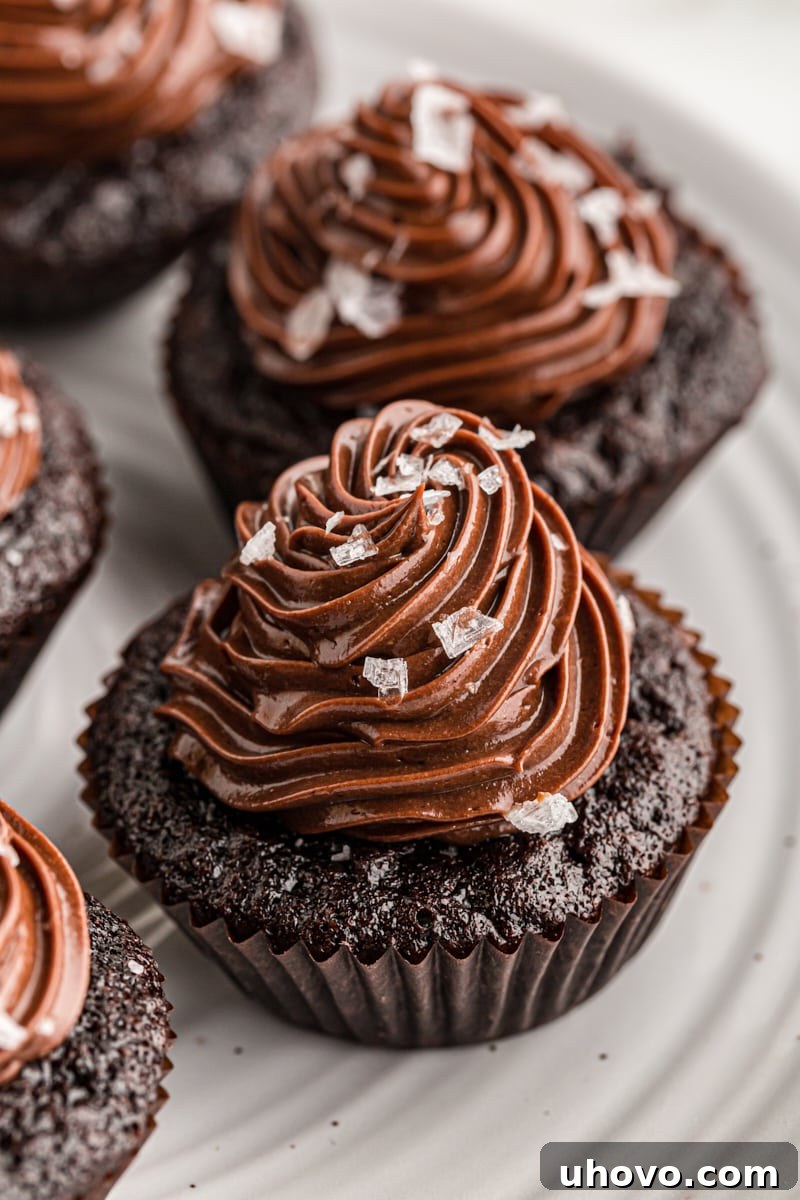 Chocolate salted caramel mini cupcakes elegantly arranged on a white plate, ready to be served
