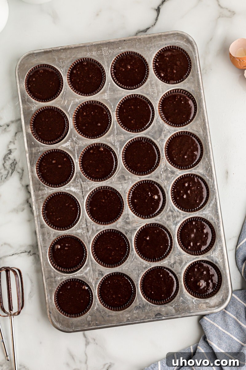 Overhead view of perfectly portioned chocolate cupcake batter in a mini muffin pan, ready for baking