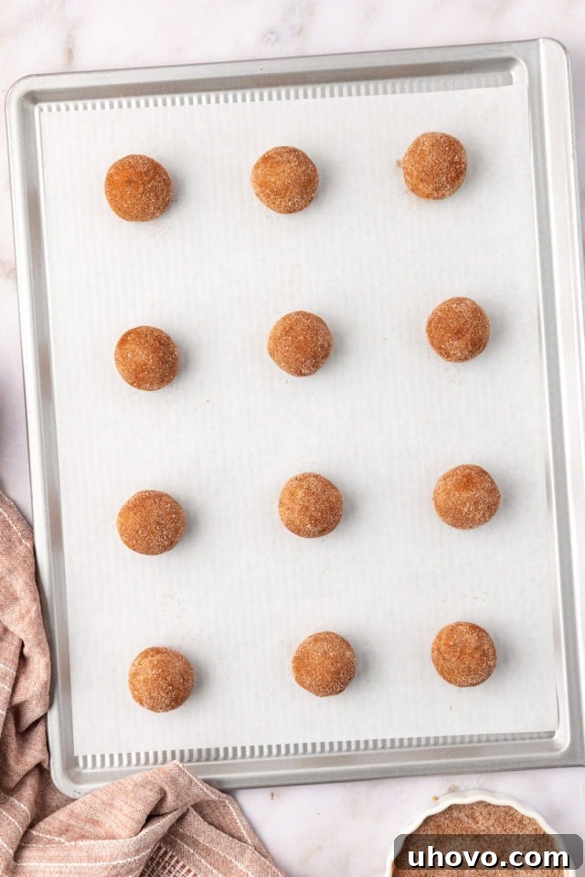 Several neatly arranged brown butter snickerdoodle cookie dough balls, coated in cinnamon-sugar, placed on a parchment-lined baking sheet, ready for the oven.