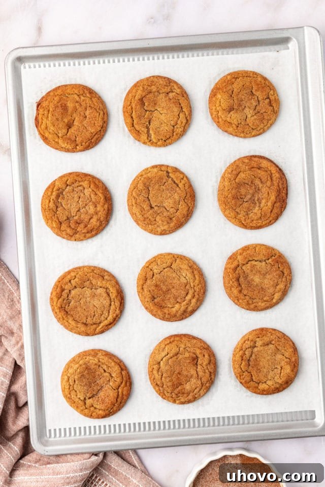 A baking sheet filled with freshly baked brown butter snickerdoodles, exhibiting their characteristic crinkled tops and golden edges, cooling just out of the oven.
