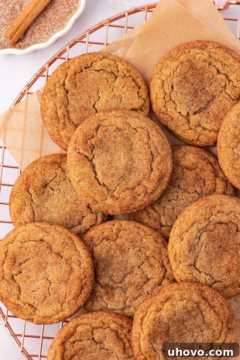 Overhead shot of freshly baked brown butter snickerdoodles cooling on a wire rack, steam gently rising, ready to be enjoyed.