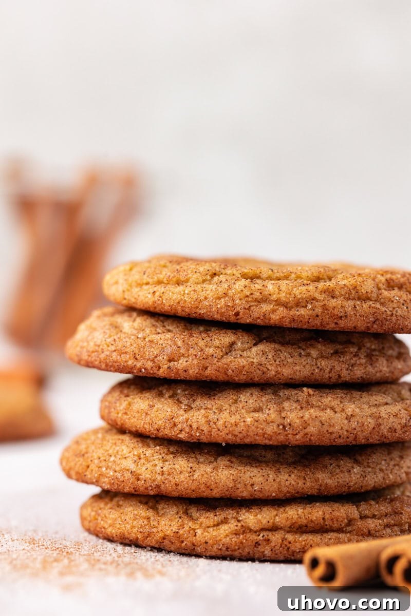 A perfect stack of six golden-brown butter snickerdoodles, showing off their characteristic crinkly tops and soft texture, ready to be devoured.