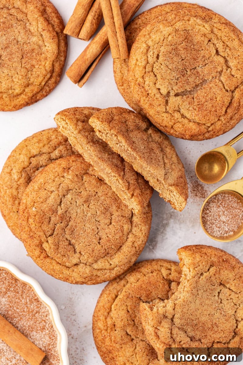 An inviting overhead shot of brown butter snickerdoodles artfully scattered on a countertop, accompanied by rustic cinnamon sticks, evoking warmth and comfort.