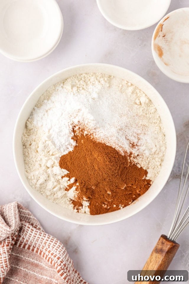 A mixing bowl filled with a perfectly combined mixture of all-purpose flour, cream of tartar, baking soda, salt, and ground cinnamon, ready for the wet ingredients.