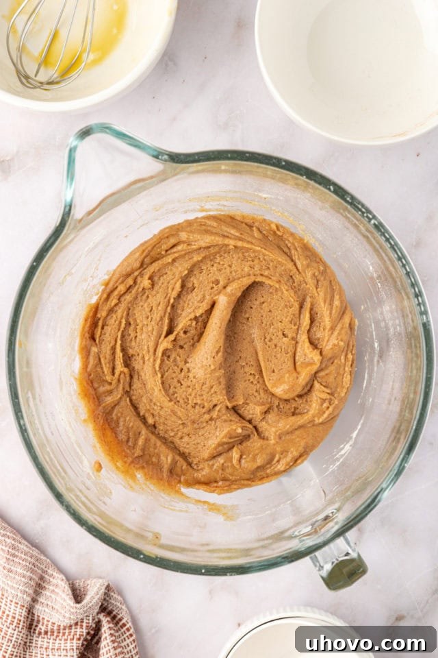 Close-up overhead view of perfectly mixed brown butter snickerdoodle cookie dough in a mixing bowl, showing its creamy texture just before chilling.