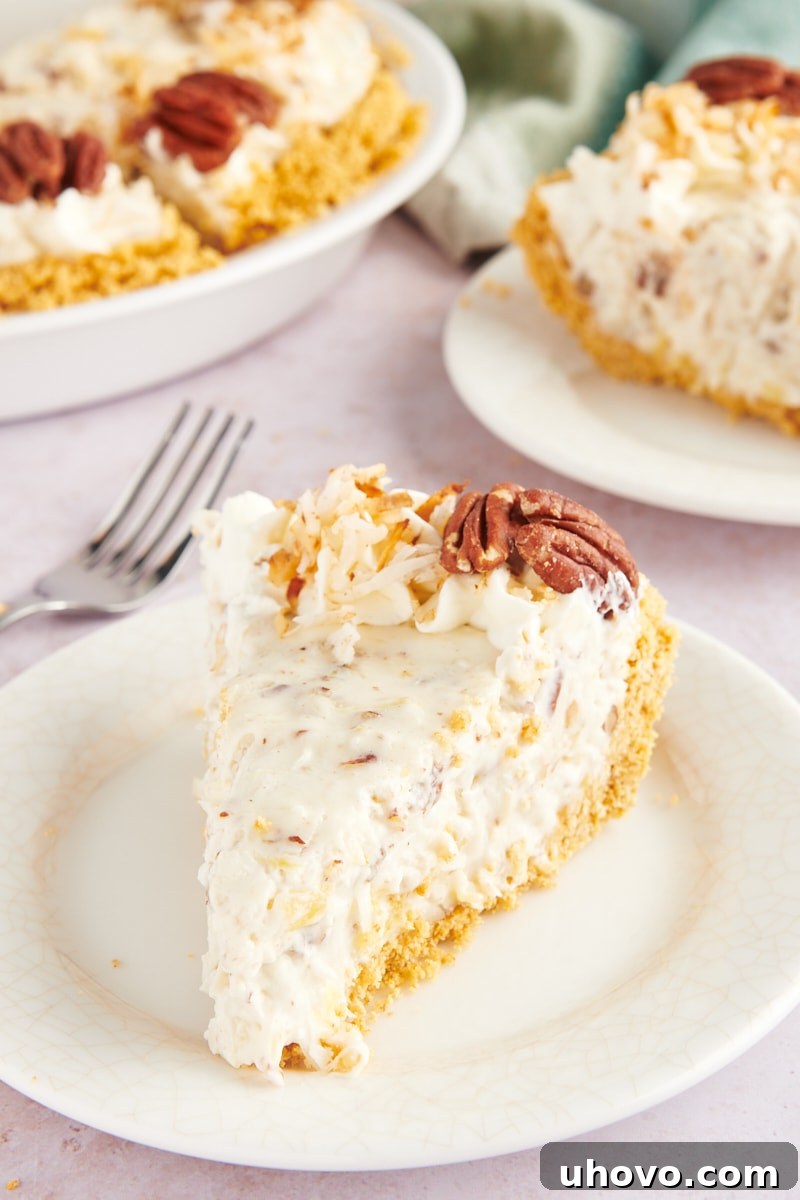 Slice of millionaire pie on plate with remaining pie in background