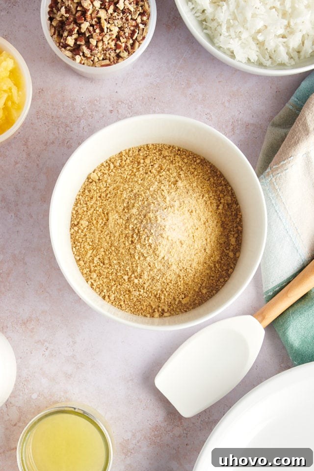 Overhead view of graham cracker crumbs in bowl