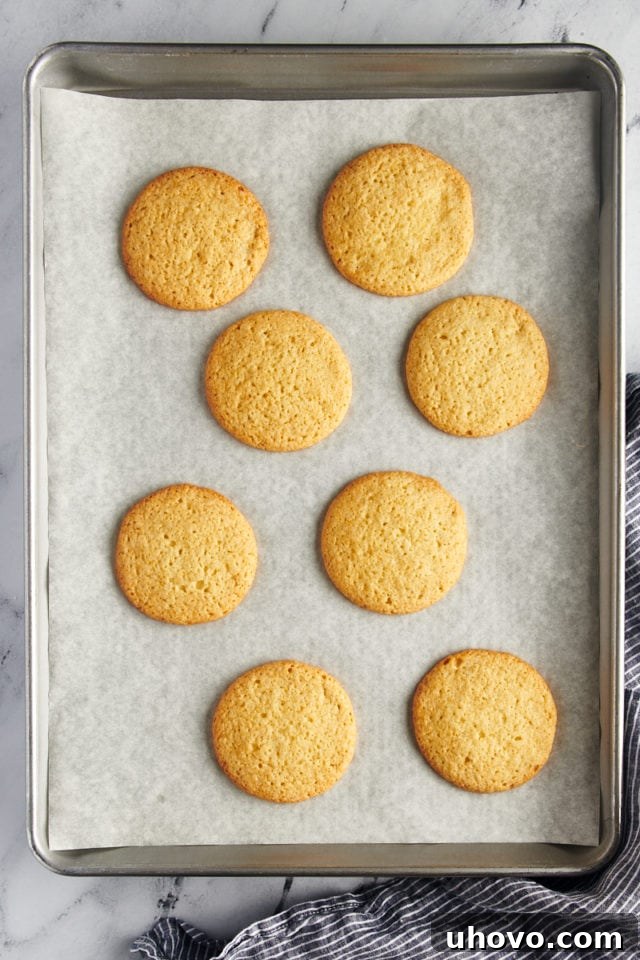 Overhead view of freshly baked Southern tea cakes cooling on a baking sheet, golden brown with perfectly set centers.