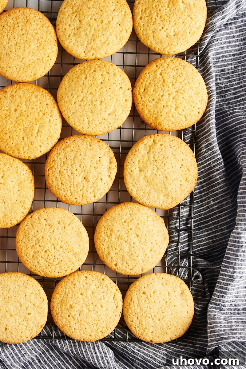 Overhead view of baked Southern tea cakes cooling peacefully on a wire rack.