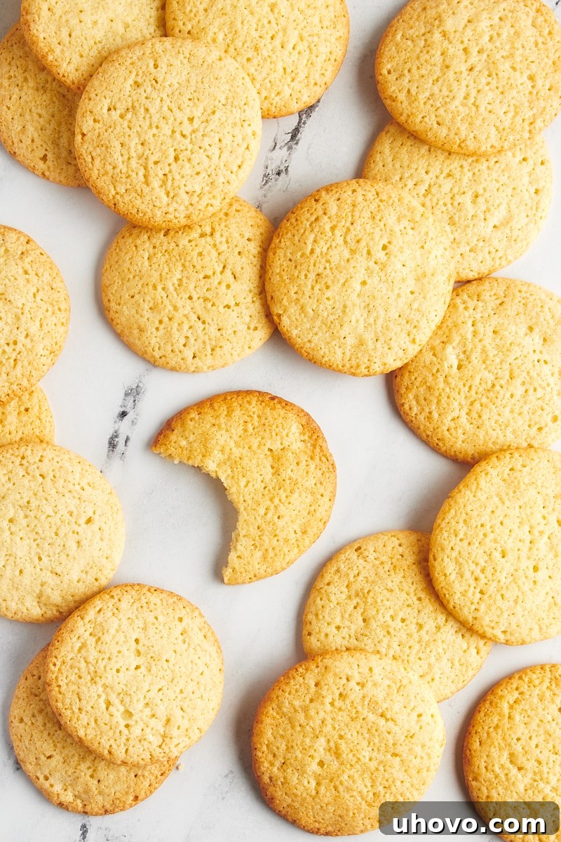 Overhead view of several Southern tea cakes artfully scattered across a sleek marble surface.
