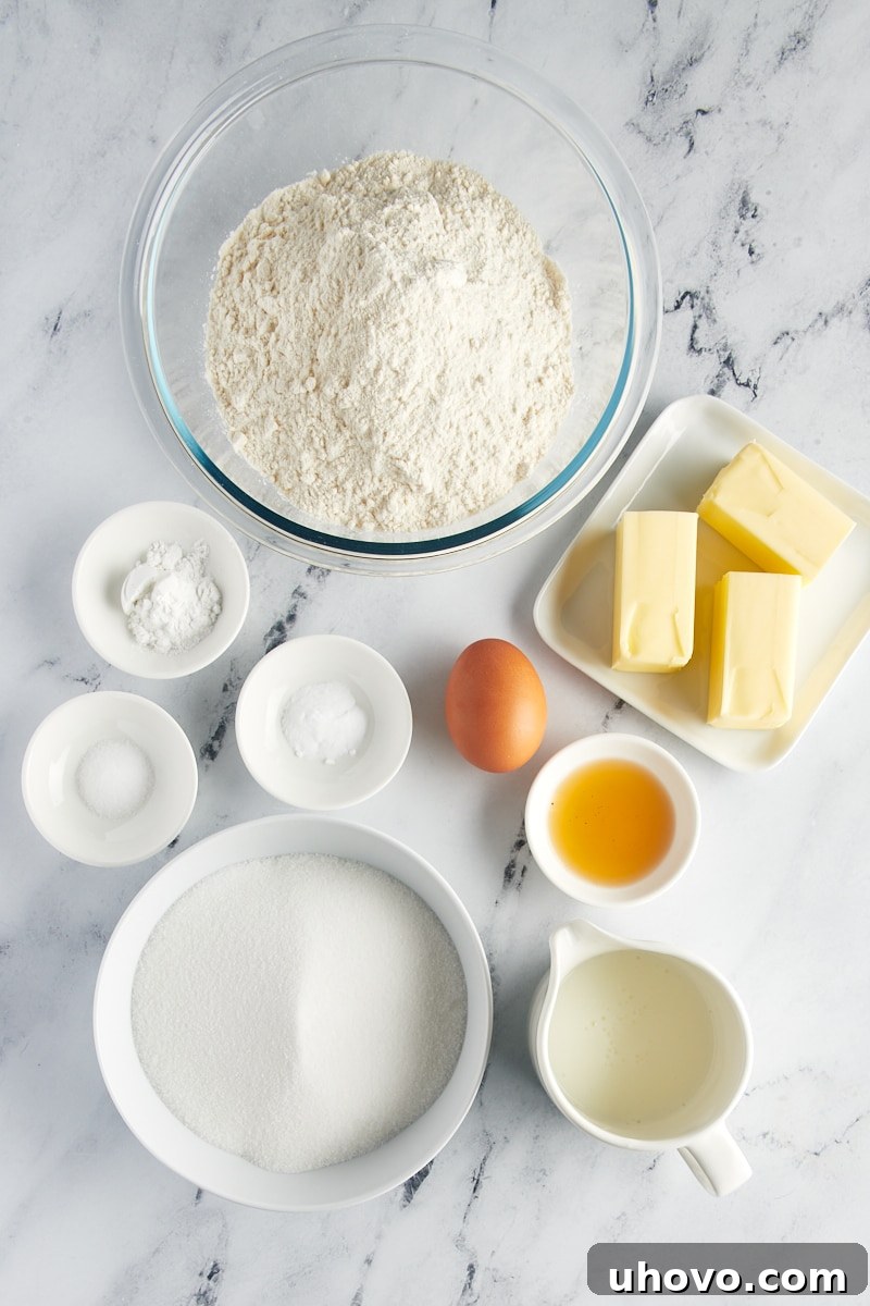 Overhead view of essential ingredients for making Southern tea cakes laid out on a clean surface.