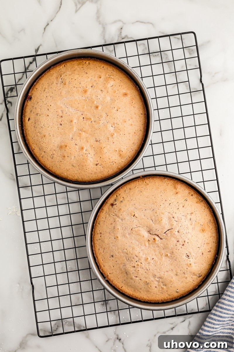 Overhead view of two baked strawberry crunch cake layers in their baking pans, cooling on a wire rack.