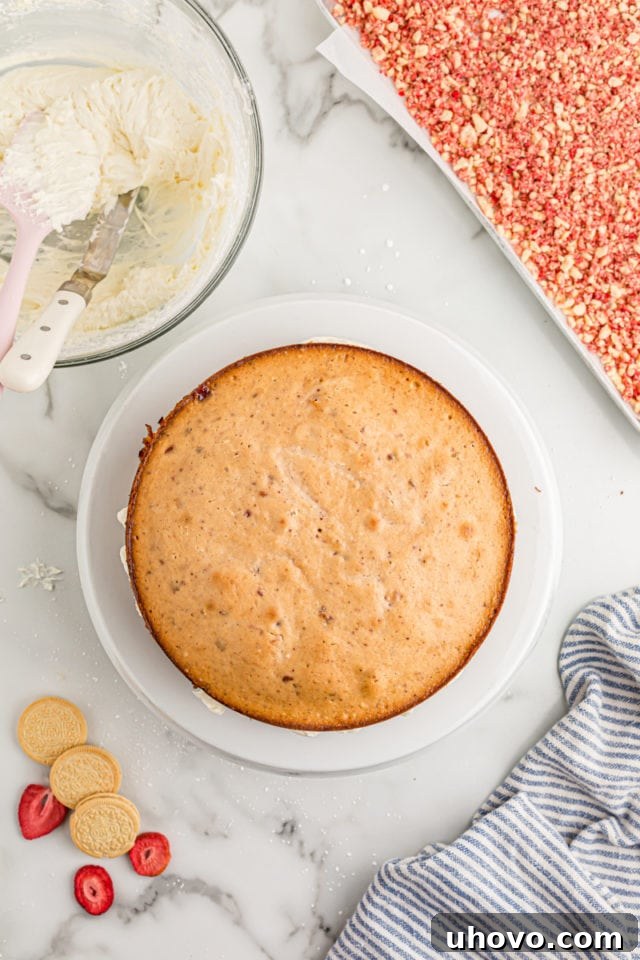 Overhead view of a single unfrosted strawberry crunch cake layer placed on a serving plate.