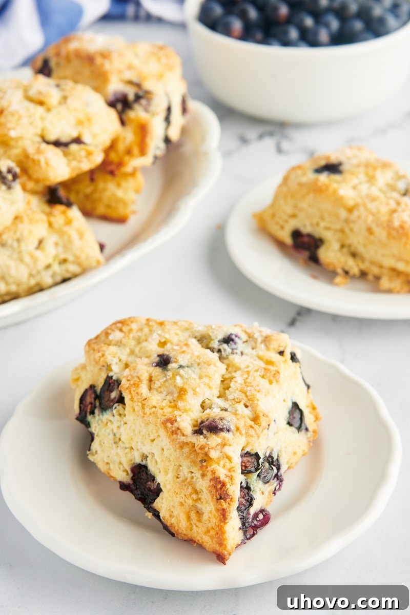 A perfectly baked blueberry scone on a white plate, with more scones and a bowl of fresh blueberries blurred in the background, highlighting its golden crust and visible blueberries.