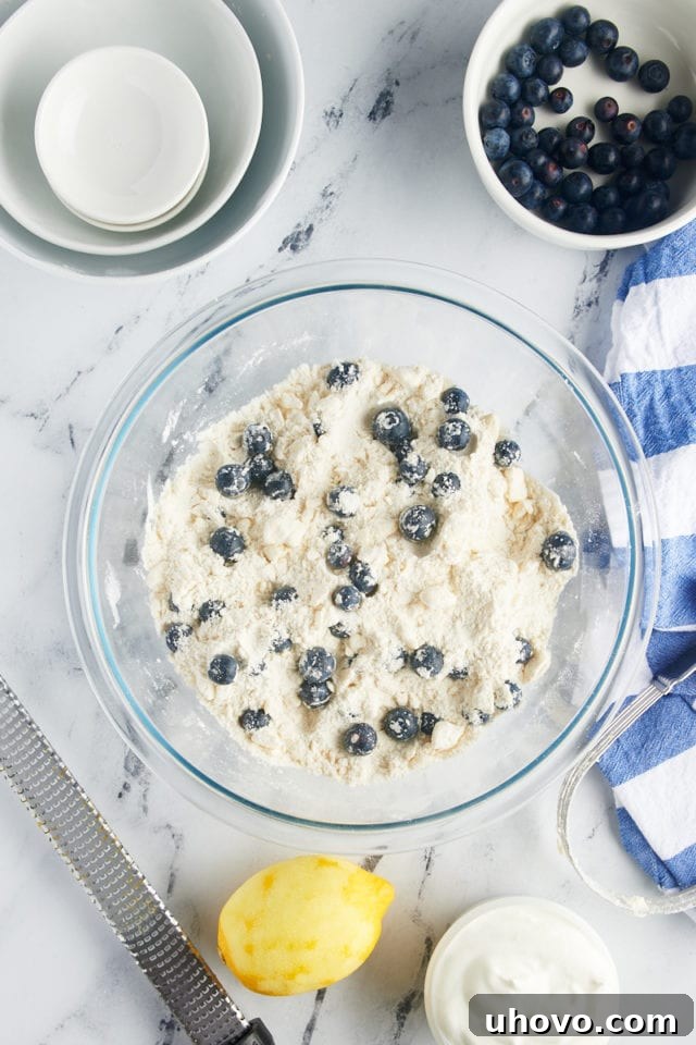 A top-down view of fresh blueberries gently mixed into the dry ingredients and butter for blueberry scones in a glass bowl.