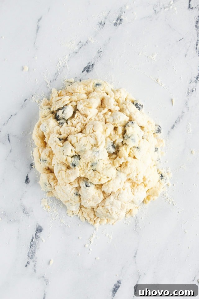 Overhead view of blueberry scone dough just transferred to a lightly floured surface, still a bit shaggy, ready for gentle kneading.