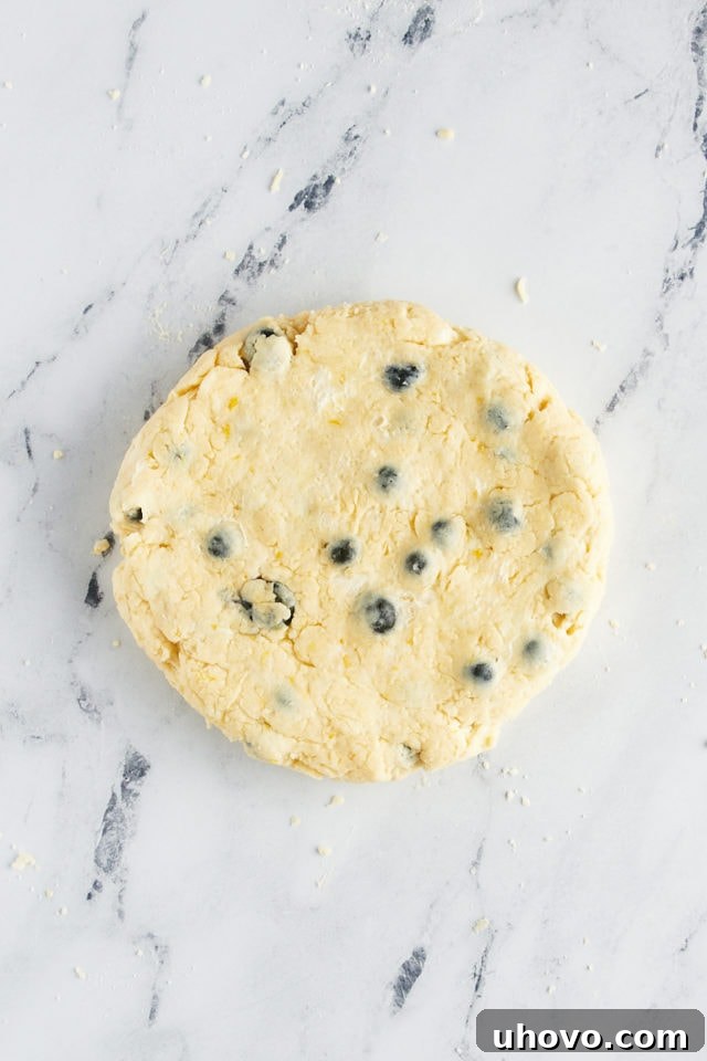 Overhead view of blueberry scone dough expertly shaped into a flat, round disk on a floured surface, ready for cutting.