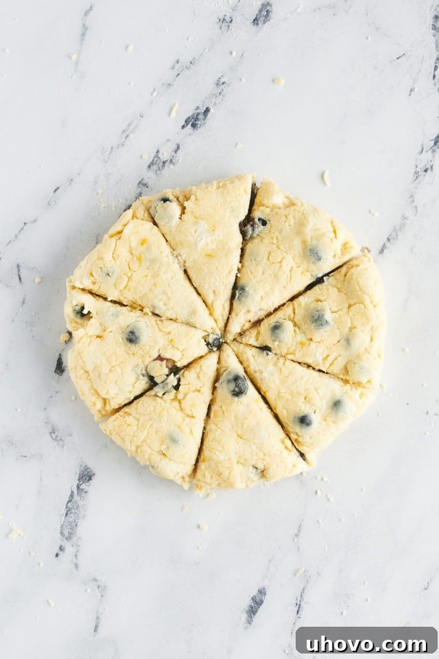 Overhead shot of blueberry scone dough neatly cut into eight symmetrical wedges on a floured surface, ready for baking.