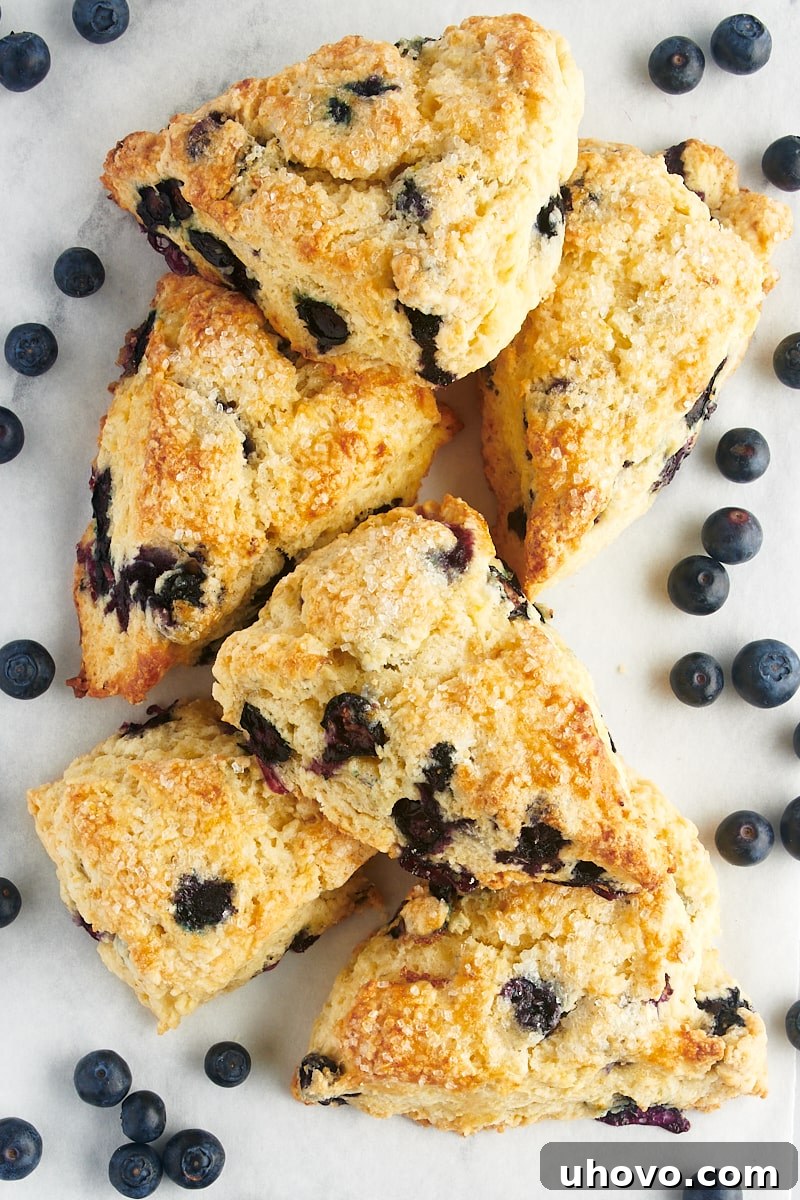 An overhead view of several golden-brown blueberry scones arranged with scattered fresh blueberries on a pristine white surface, emphasizing their inviting texture.
