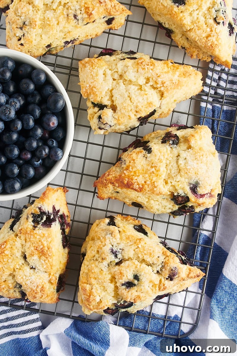 An inviting overhead view of freshly baked blueberry scones alongside a small bowl of blueberries, all resting on a wire cooling rack, ready to be enjoyed.