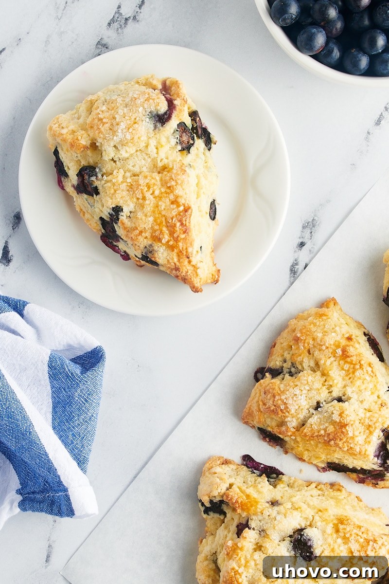 An overhead view of a single, perfectly baked blueberry scone resting on a white plate, with other scones partially visible on parchment paper in the background.