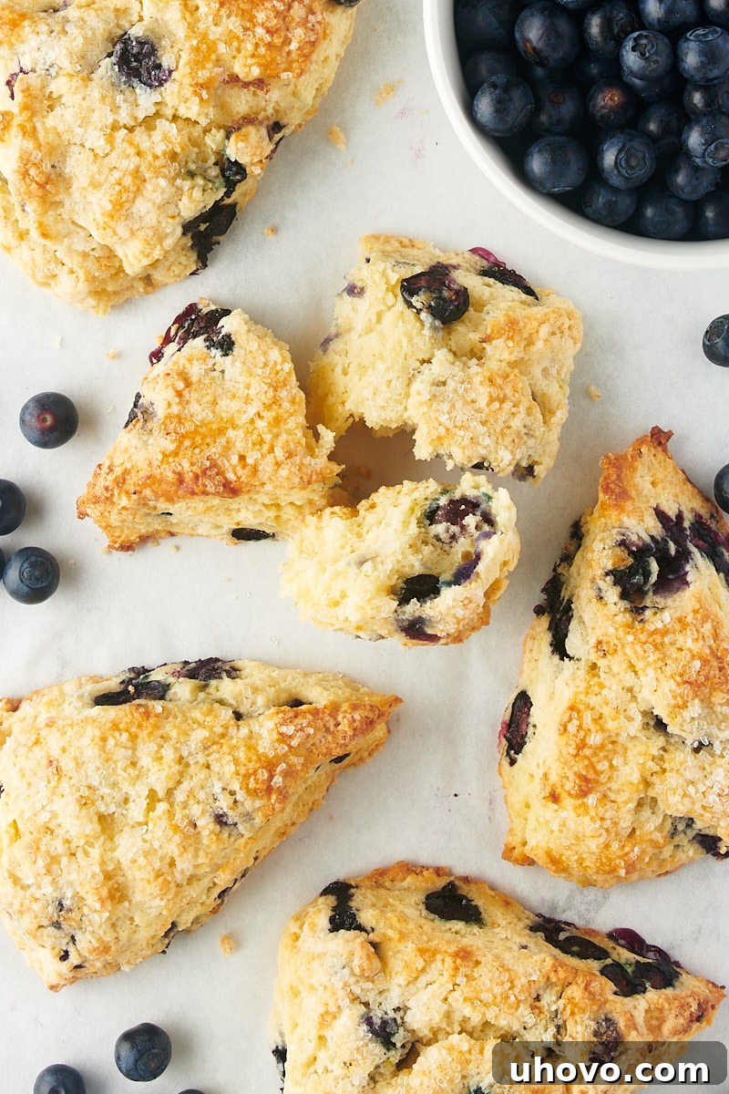An overhead shot featuring three pieces of a sliced blueberry scone, revealing its tender, flaky interior and juicy blueberries, surrounded by more whole scones.