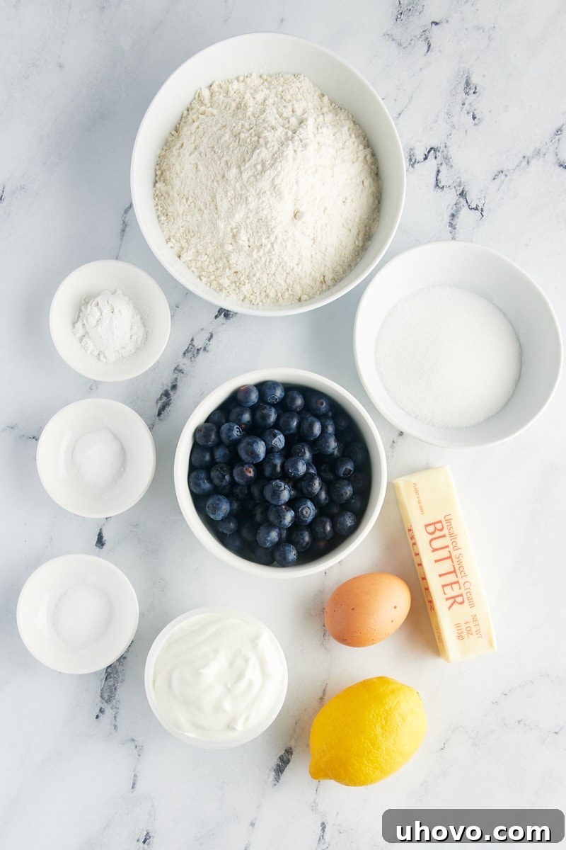 An overhead flat lay photo showcasing all the ingredients meticulously laid out for baking blueberry scones, including flour, sugar, blueberries, and lemon, ready for preparation.