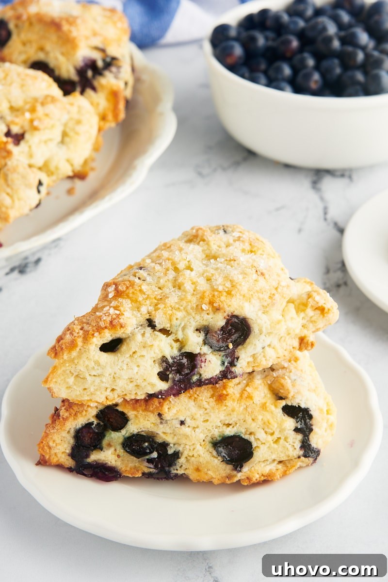 Two golden blueberry scones are delicately stacked on a pristine white plate, showcasing their inviting texture and generous distribution of blueberries.