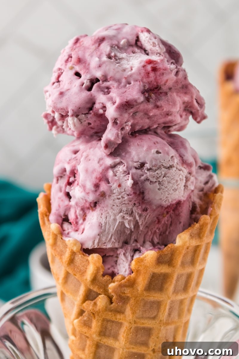 two scoops of blackberry ice cream in a waffle cone, garnished with fresh blackberries