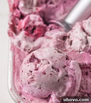 a container of blackberry ice cream with a scoop of the ice cream on top