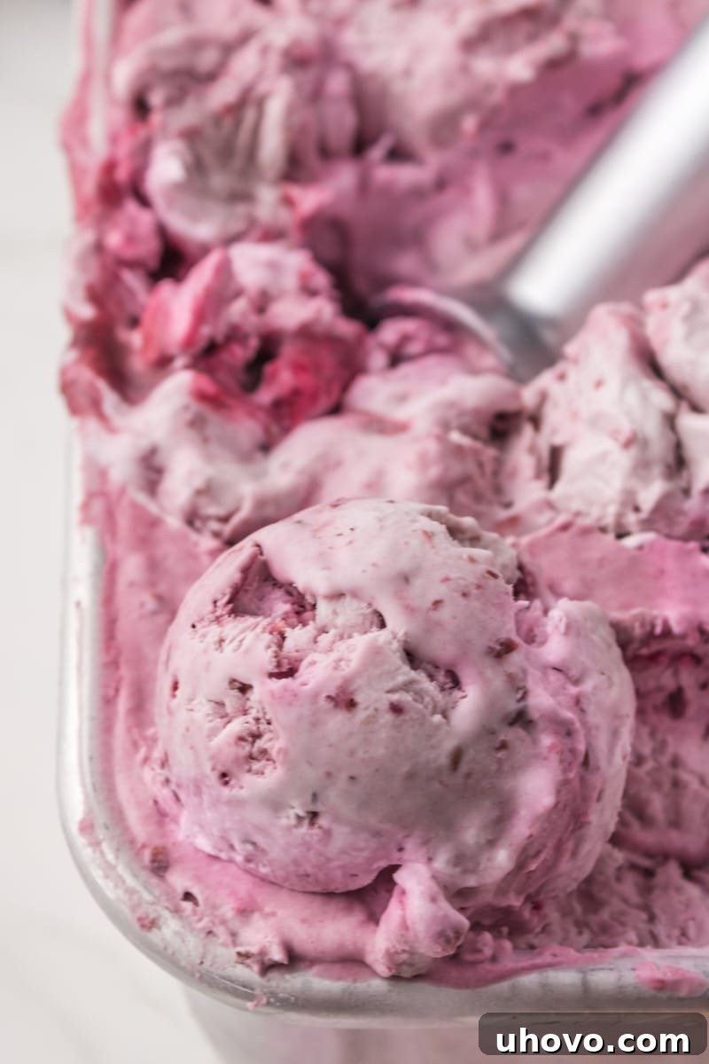 a container of blackberry ice cream with a scoop of the ice cream on top, garnished with fresh blackberries