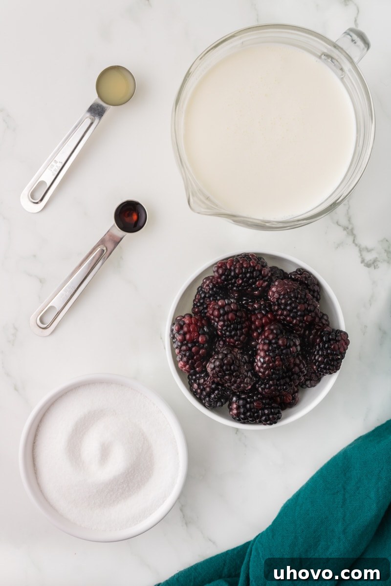 overhead view of ingredients for blackberry ice cream, including fresh blackberries, sugar, lemon, vanilla extract, and heavy cream