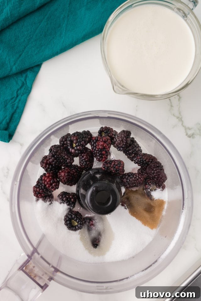 overhead view of blackberries, sugar, lemon juice, and vanilla in the bowl of a food processor, before blending