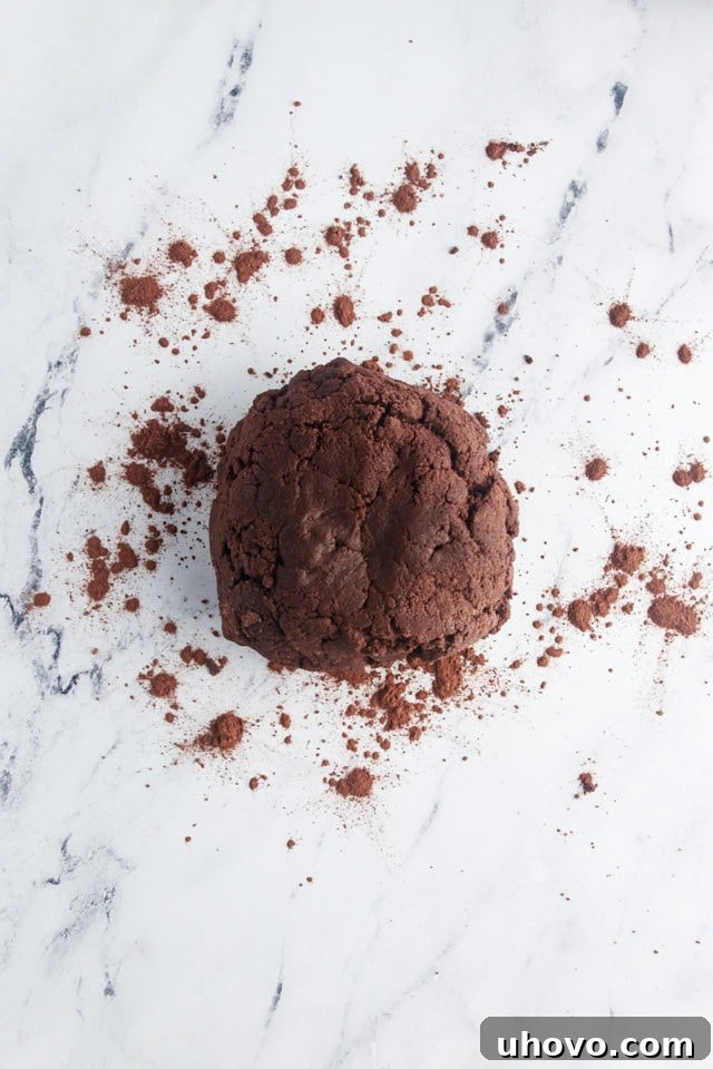 overhead view of chocolate wafer cookie dough on a marble surface dusted with cocoa powder